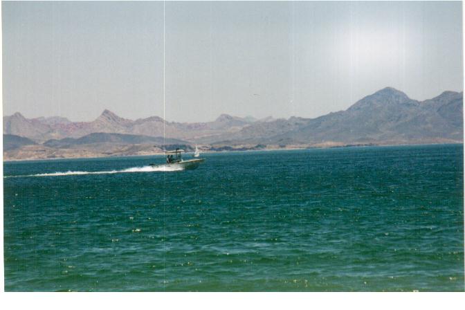 wa_2.jpg